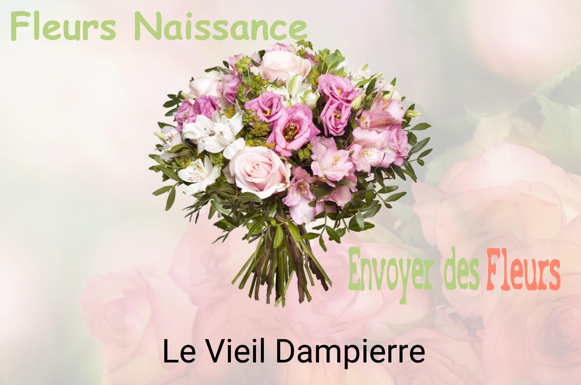 Bouquet de fleurs de naissance livré à Le Vieil-Dampierre