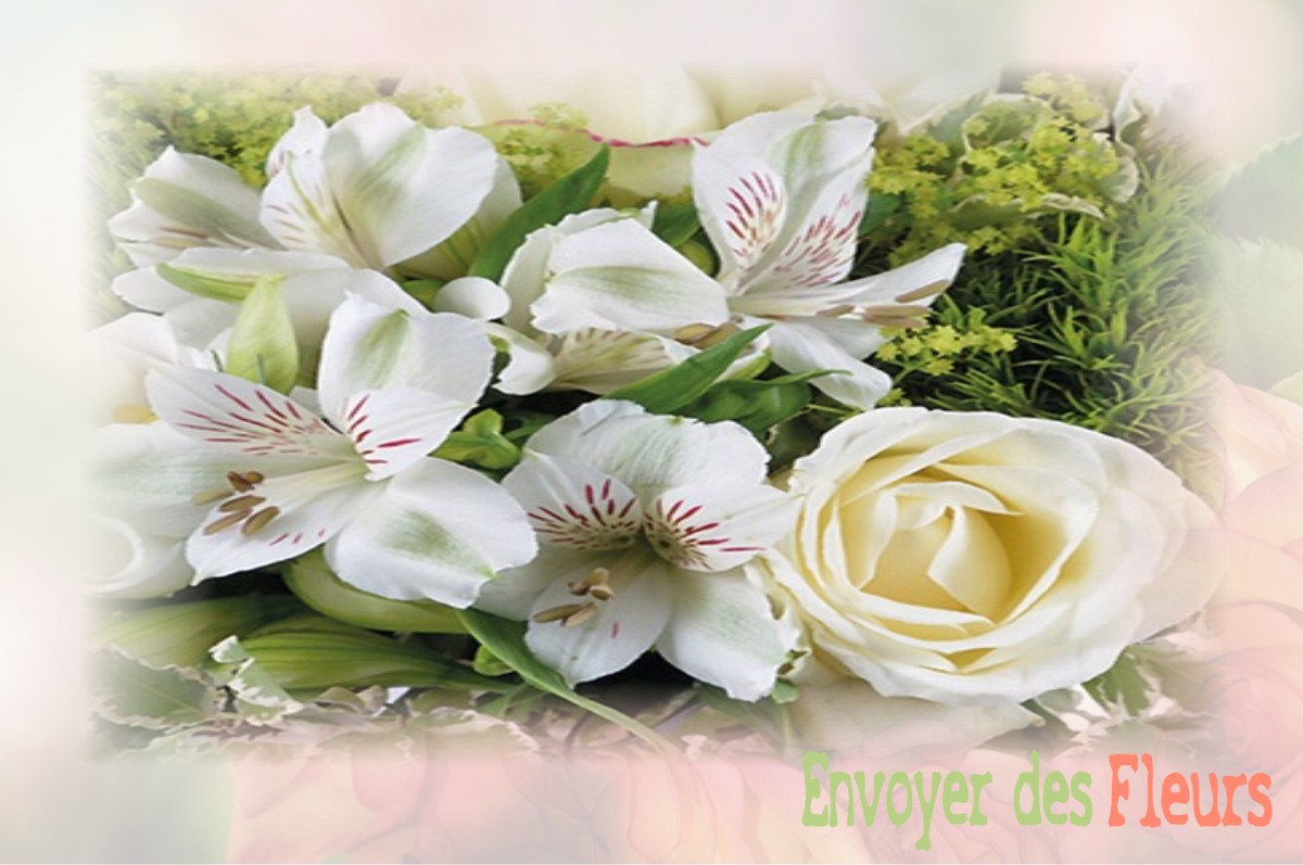 envoyer des fleurs à à LE-VIEIL-DAMPIERRE